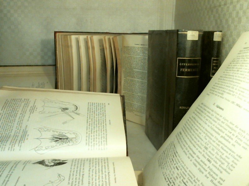 語学・辞書・学習参考書 DIE FERMENTE IHRE WIRKUNGEN  OPPENHEIMER DIE FERMENTE IHRE WIRKUNGEN OPPENHEIMER